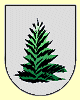 cypress tree