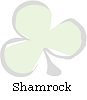 Shamrock Watermark Graphic